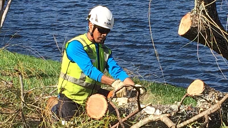 Dos and Donts of Hurricane Safety - Related